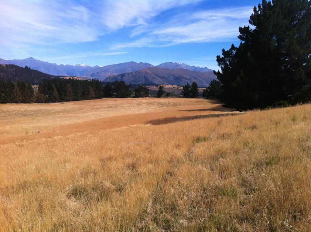 Riverrun Wanaka Dış mekan fotoğraf